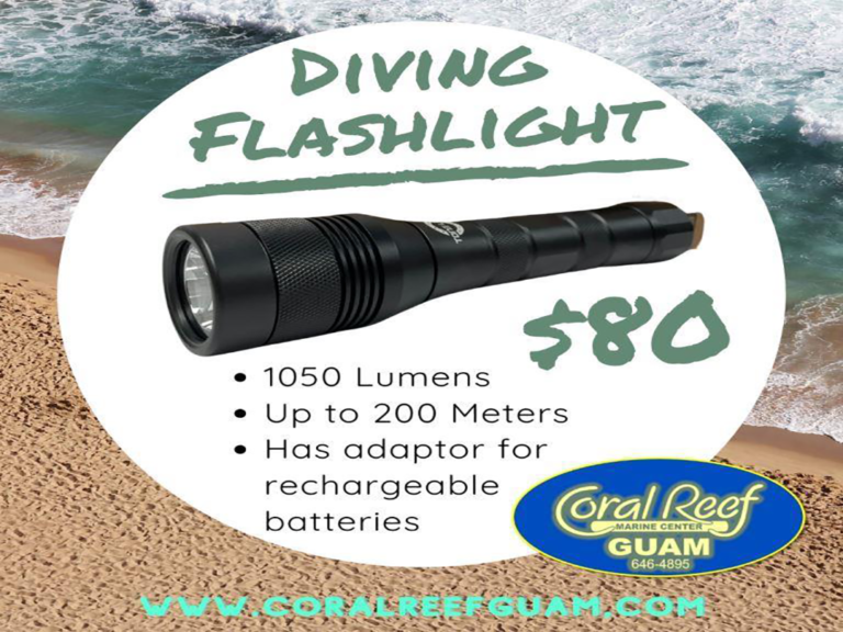 diving-flashlight_orig